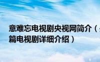 意难忘电视剧央视网简介（关于意难忘 2004年王为执导长篇电视剧详细介绍）