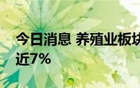 今日消息 养殖业板块持续下挫，巨星农牧跌近7%