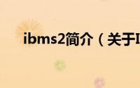 ibms2简介（关于IBM T22详细介绍）
