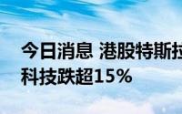 今日消息 港股特斯拉概念股持续下挫，力劲科技跌超15%