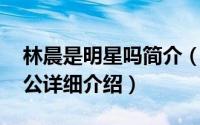 林晨是明星吗简介（关于杨晨 影星林熙蕾老公详细介绍）