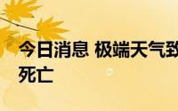 今日消息 极端天气致印度比哈尔邦至少22人死亡