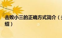 击败小三的正确方式简介（关于论小三的成功与倒掉详细介绍）