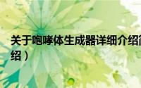 关于咆哮体生成器详细介绍简介（关于咆哮体生成器详细介绍）