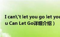 I can't let you go let you go let you go.简介（关于You Can Let Go详细介绍）