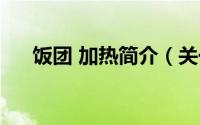 饭团 加热简介（关于热饭团详细介绍）
