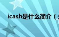 icash是什么简介（关于icash详细介绍）