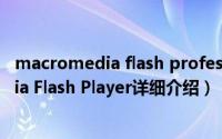macromedia flash professional8简介（关于Macromedia Flash Player详细介绍）