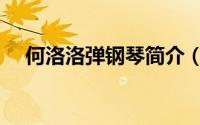 何洛洛弹钢琴简介（关于洛琴详细介绍）