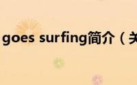 goes surfing简介（关于GoSURF详细介绍）