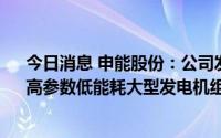 今日消息 申能股份：公司发电机组大多是60万千瓦以上、高参数低能耗大型发电机组