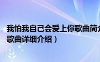我怕我自己会爱上你歌曲简介（关于害怕爱上你 谭维维演唱歌曲详细介绍）