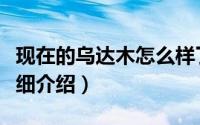 现在的乌达木怎么样了简介（关于乌达木吧详细介绍）