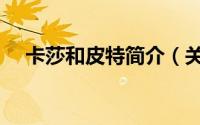 卡莎和皮特简介（关于莎卡特详细介绍）