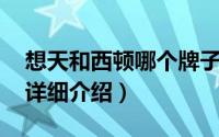 想天和西顿哪个牌子好简介（关于天顿 品牌详细介绍）