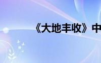 《大地丰收》中鲁菜的详细介绍