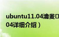 ubuntu11.04瀹夎简介（关于Ubuntu 11.04详细介绍）