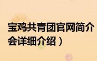 宝鸡共青团官网简介（关于共青团宝鸡市委员会详细介绍）