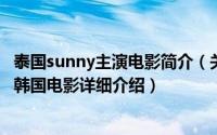 泰国sunny主演电影简介（关于SUNNY 2011年姜亨哲执导韩国电影详细介绍）