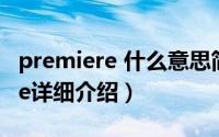 premiere 什么意思简介（关于Premier Love详细介绍）