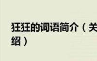 狂狂的词语简介（关于狂惑 汉语词语详细介绍）