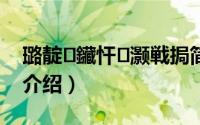 璐靛鑶忓灏戦挶简介（关于天价贵妇详细介绍）