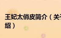 王妃太俏皮简介（关于王妃太爱耍花招详细介绍）