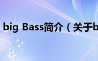 big Bass简介（关于big fat bass详细介绍）