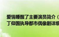 爱情睡醒了主要演员简介（关于爱情睡醒了 2011年沈怡、丁仰国执导都市偶像剧详细介绍）