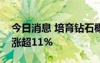 今日消息 培育钻石概念股异动拉升，沃尔德涨超11%