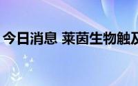 今日消息 莱茵生物触及涨停，成交额8.6亿元