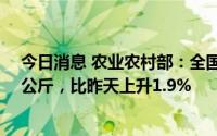 今日消息 农业农村部：全国农批市场猪肉均价为24.55元/公斤，比昨天上升1.9%