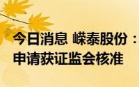 今日消息 嵘泰股份：公开发行6.5亿元可转债申请获证监会核准