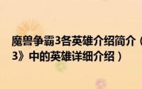 魔兽争霸3各英雄介绍简介（关于大魔导师 游戏《魔兽争霸3》中的英雄详细介绍）