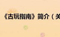 《古玩指南》简介（关于古玩世界详细介绍）