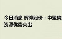 今日消息 辉隆股份：中盟磷业白岩磷矿储量可达9500万吨，资源优势突出