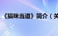 《猫咪当道》简介（关于猫咪当道详细介绍）