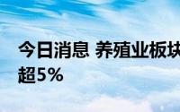 今日消息 养殖业板块震荡拉升，ST獐子岛涨超5%