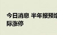 今日消息 半年报预增板块异动拉升，嘉友国际涨停