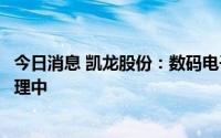 今日消息 凯龙股份：数码电子雷管煤矿许用安标许可正在办理中