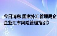 今日消息 国家外汇管理局企业汇率风险管理服务小组发布《企业汇率风险管理指引》