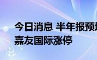 今日消息 半年报预增概念领涨，盛新锂能、嘉友国际涨停