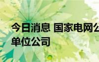 今日消息 国家电网公示五家假冒其系统内部单位公司