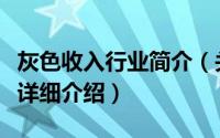 灰色收入行业简介（关于灰色收入与发展陷阱详细介绍）