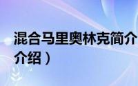 混合马里奥林克简介（关于混合马里奥2详细介绍）