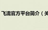 飞流官方平台简介（关于飞流软件详细介绍）