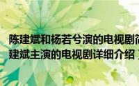 陈建斌和杨若兮演的电视剧简介（关于男人四十 杨若兮、陈建斌主演的电视剧详细介绍）