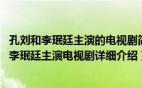 孔刘和李珉廷主演的电视剧简介（关于big 韩国2012年孔刘李珉廷主演电视剧详细介绍）