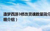 造梦西游3修改灵魂数量简介（关于灵魂造梦西游3修改器详细介绍）