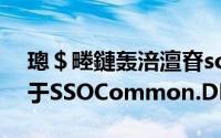 璁＄畻鏈轰涪澶眘socommon.dll简介（关于SSOCommon.DLL详细介绍）